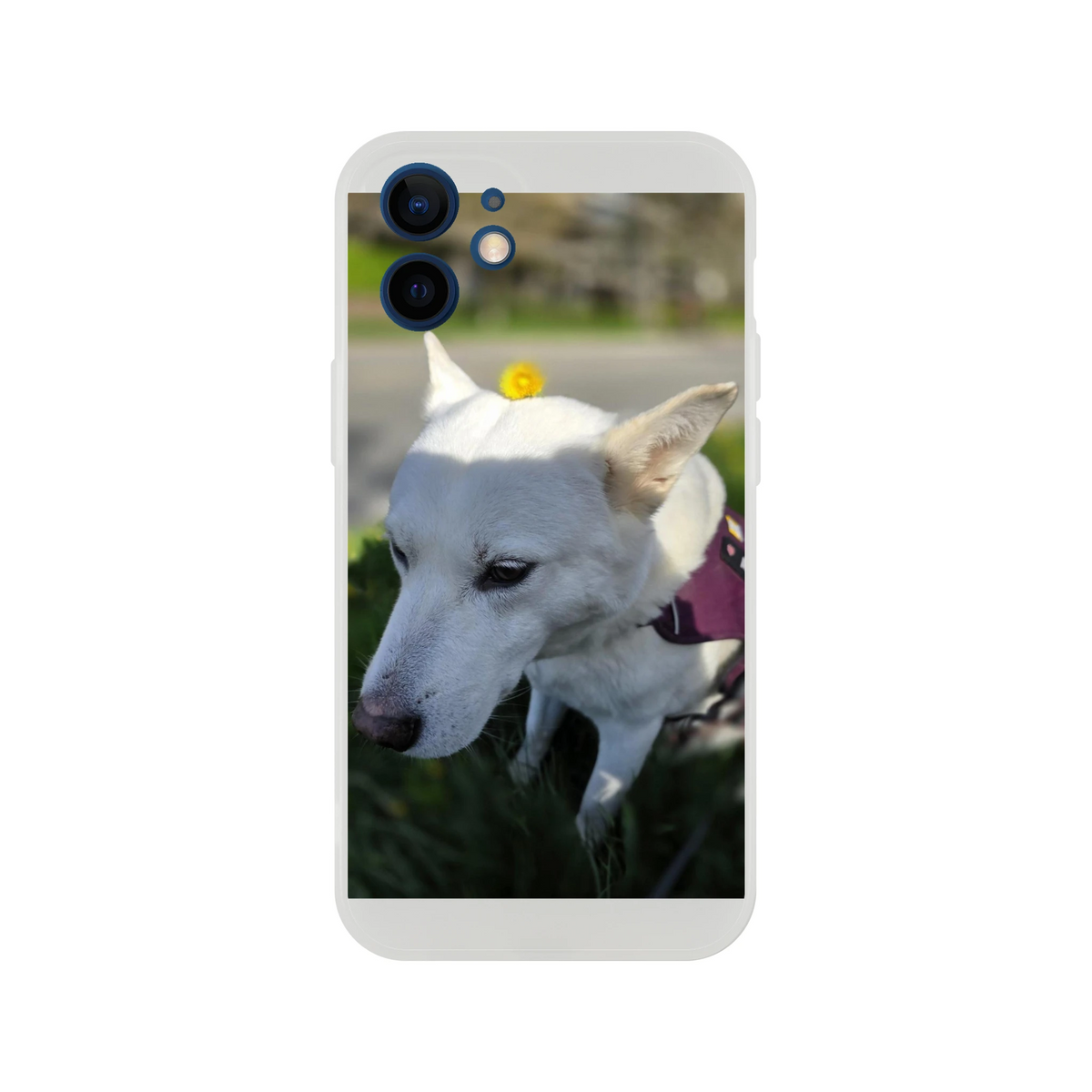 67940da8-ae1a-4884-b456-99196ebbdeca
